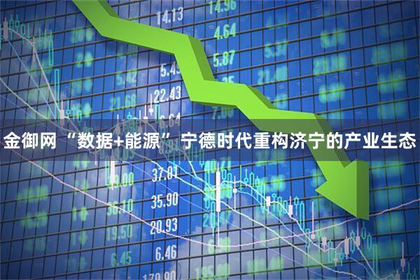 金御网 “数据+能源” 宁德时代重构济宁的产业生态