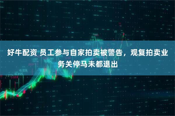 好牛配资 员工参与自家拍卖被警告，观复拍卖业务关停马未都退出